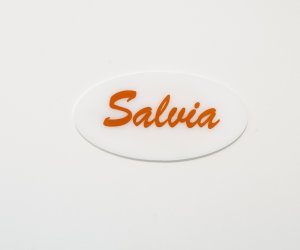 salvia-1.jpg